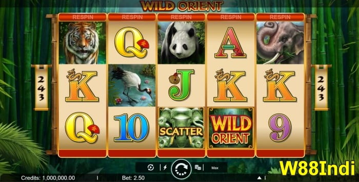 รายการช่องย่อยที่ดีที่สุด ออนไลน์โดย x5betini ป่า